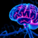Could Failing Myelin Flexibility Drive Cognitive Decline in Alzheimer’s Disease?