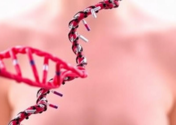 DNA Repair Enzyme Pol ι Emerges as Key Player in Early Breast Cancer Risk in BRCA2 Carriers