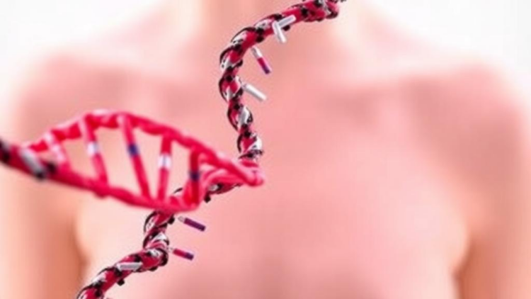 DNA Repair Enzyme Pol ι Emerges as Key Player in Early Breast Cancer Risk in BRCA2 Carriers