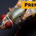 Single Amino Acid in Fly Enzyme Controls Brain Iron and Lifespan