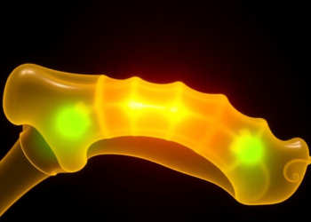 Smart Hydrogel Turns Breathing and Light Into Bone-Repairing Signals