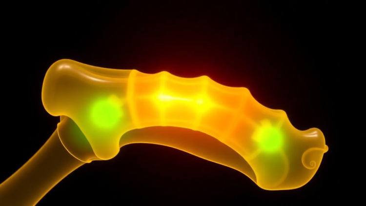 Smart Hydrogel Turns Breathing and Light Into Bone-Repairing Signals