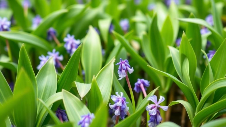 Invasive Water Hyacinth Turned Into Engine-Ready Bioethanol in New Study