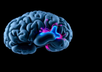 Hearing Loss in Aging Weakens the Brain’s Wiring, Massive Scan Study Finds