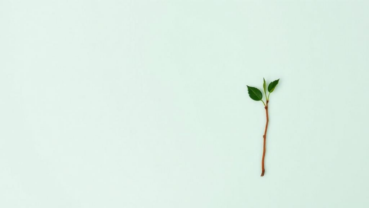 What Makes Students Pay More for a Greener Planet? Evidence from Bangladesh
