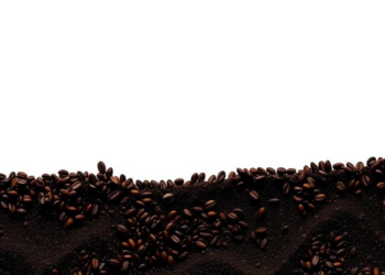 Caffeine and Mosquito Repellent Are Quietly Seeping Into India’s Rivers and Groundwater