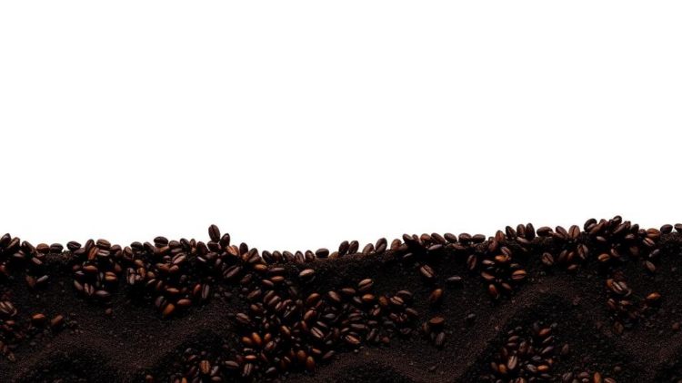 Caffeine and Mosquito Repellent Are Quietly Seeping Into India’s Rivers and Groundwater