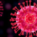 Immune Checkpoint Blockers and Engineered Cells Reshape the Fight Against Oral Cavity Cancer