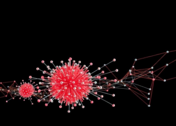 Entropy and Neighborhood Clues Supercharge Evolutionary Algorithms for Constrained Optimization