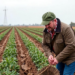 Wartime Ukraine Reveals What It Really Takes to Track Farm Sustainability