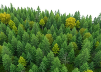 AI Meets Human Expertise to Map How Mixed Forests Deliver Ecosystem Services