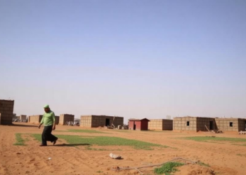 How Local Food Could Transform Rural Livelihoods in Southwest Iran