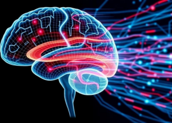 Hidden Motion Maps Reveal a Secret Code in the Brain’s Visual Cortex