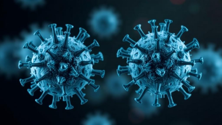 Immune Protein GBP7 Turns Traitor, Helping Herpes Simplex Virus Translate Its Way to Infection