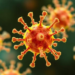 Scientists Find New Chemical Leads That Disarm a Deadly Hospital Superbug