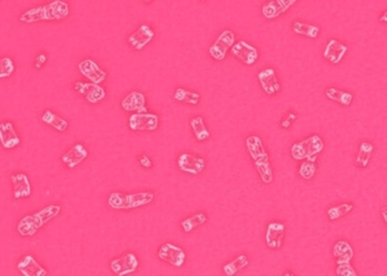 Selenium Shows Partial Shield Against Fertility Damage From Common Psoriasis Drug