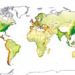 New Global Map Tracks Six Decades of Crop-Specific Nitrogen Pollution