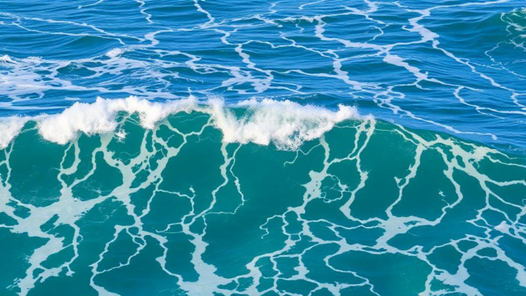 Stalled Rossby waves leave the Great Barrier Reef becalmed and bleaching