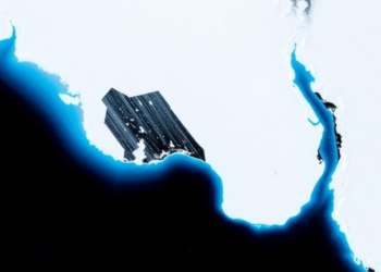 Satellite Data Assimilation Sharpens Antarctic Sea Ice Forecasts at Subseasonal Scales