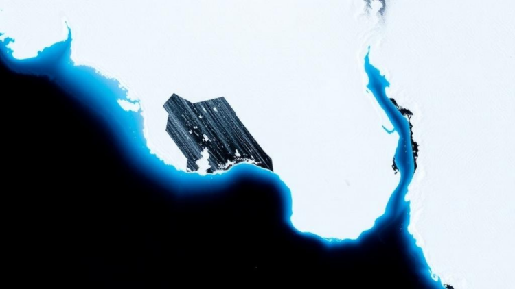 Satellite Data Assimilation Sharpens Antarctic Sea Ice Forecasts at Subseasonal Scales