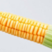 Single DNA Letter May Hold the Key to Starchier, Heavier Maize Kernels