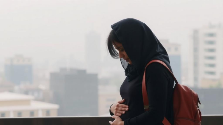 Air Pollution and Stress in Pregnancy Combine to Raise Postpartum Depression Risk