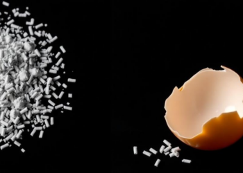 Eggshells Turned Into Stronger, Lighter Magnesium Alloys in One-Step Process
