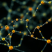 Graph Entropy Reveals Hidden Order in Hyper Carbon Nanotubes