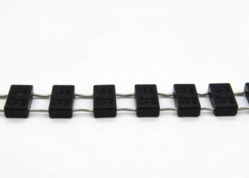 Black Gram Skins Turned Into High-Performance Supercapacitor Electrodes