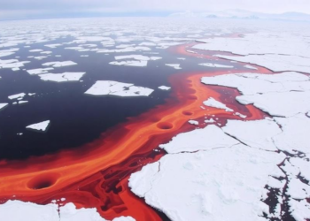 Hidden Eddies in Antarctic Tides Push Heat Toward the Ross Ice Shelf