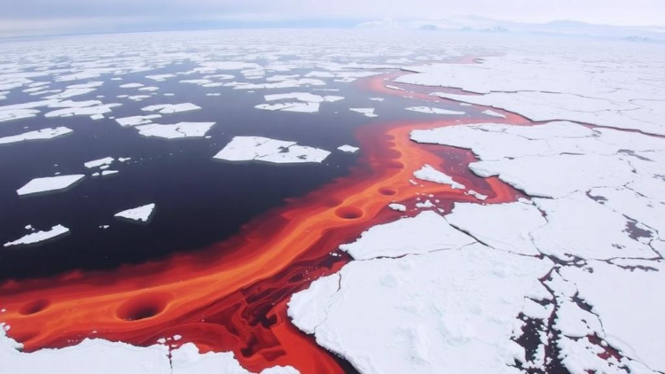 Hidden Eddies in Antarctic Tides Push Heat Toward the Ross Ice Shelf
