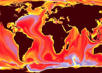 Two Decades of Sea Measurements Yield Unmatched Hyperspectral Atlas of Ocean Light Absorption