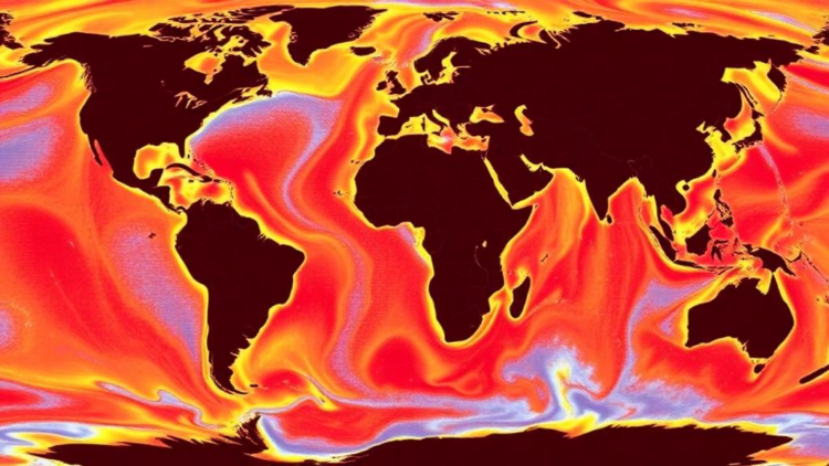 Two Decades of Sea Measurements Yield Unmatched Hyperspectral Atlas of Ocean Light Absorption