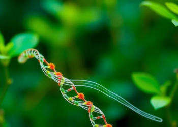 AI Tool PeTMiner Uncovers Hidden RNA Regulators That Shape Plant Gene Expression