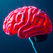 Diabetes May Rewire the Brain in a Predictable Cascade, MRI Study Finds