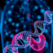 Genetic Switches for DNA Methylation Mapped Across the Colon Cancer Genome