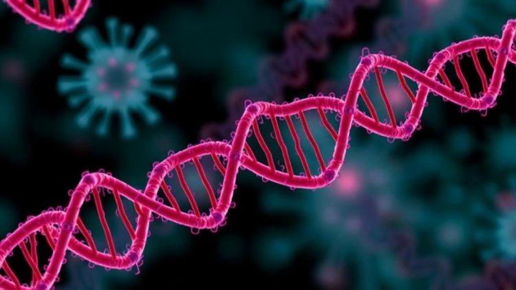 Pancreatic Cancer Cells Constantly Rewrite Their DNA to Outsmart Treatment