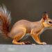Squirrel-Inspired Two-Stage Algorithm Sharpens Differential Evolution for Hard Optimization
