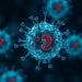 Lipid nanoparticles reprogram natural killer cells inside the body to fight cancer