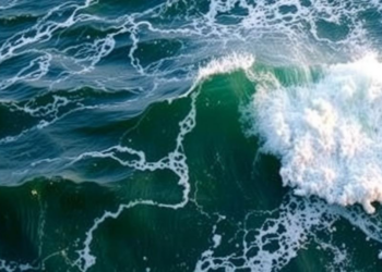 Shifting Hadley Cells Steer the Swell Energy That Reaches India’s Coasts