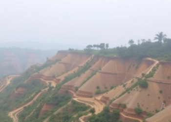 Simple Statistical Models Outperform in Mapping Landslide Danger in Northeast India