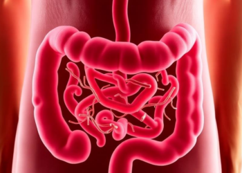 Your Gut Bacteria May Predict How Much Weight You Lose