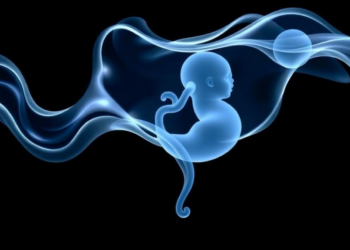 Plasticizers Cross the Placenta: Study Finds ‘Safer’ Alternatives Reaching the Fetus