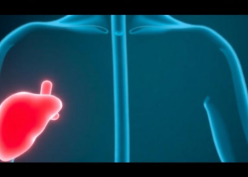 How Immunotherapy Is Rewriting the Rules of Liver Cancer Treatment