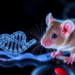 Hidden RNA Brake Inside Mitochondria Slows Fat Cell Formation in Obese Mice