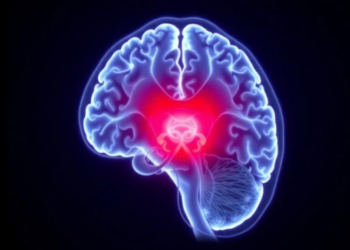 Weekly MRI Reveals Radiation’s Early Fingerprint on the Brain’s Memory Hub