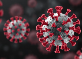 Cytomegalovirus Dismantles Cellular Genome Silencing Defense via Viral Protein UL35