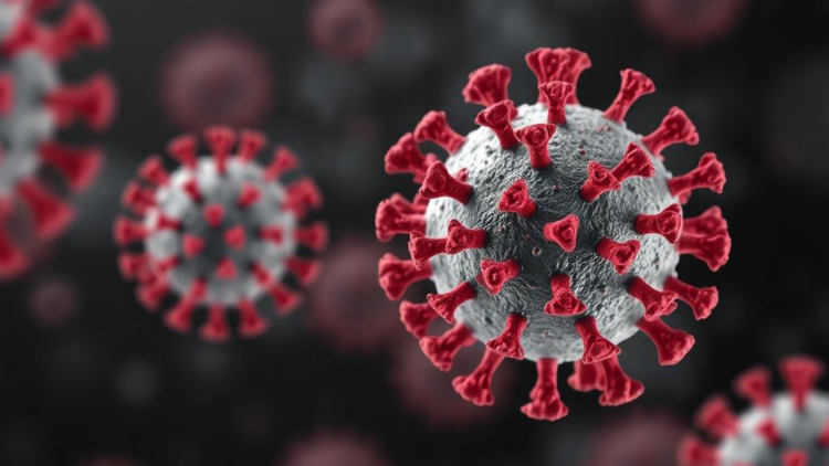 Cytomegalovirus Dismantles Cellular Genome Silencing Defense via Viral Protein UL35