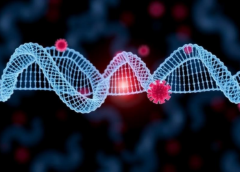 Complete Human Genome Reference Reveals Hidden HPV Integration Sites
