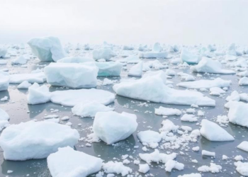 Arctic’s Newly Formed Ice Emerges as Surprising Driver of East Asian Summer Heat